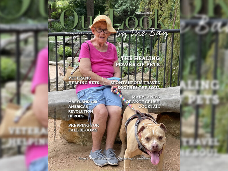 Healing power of pets