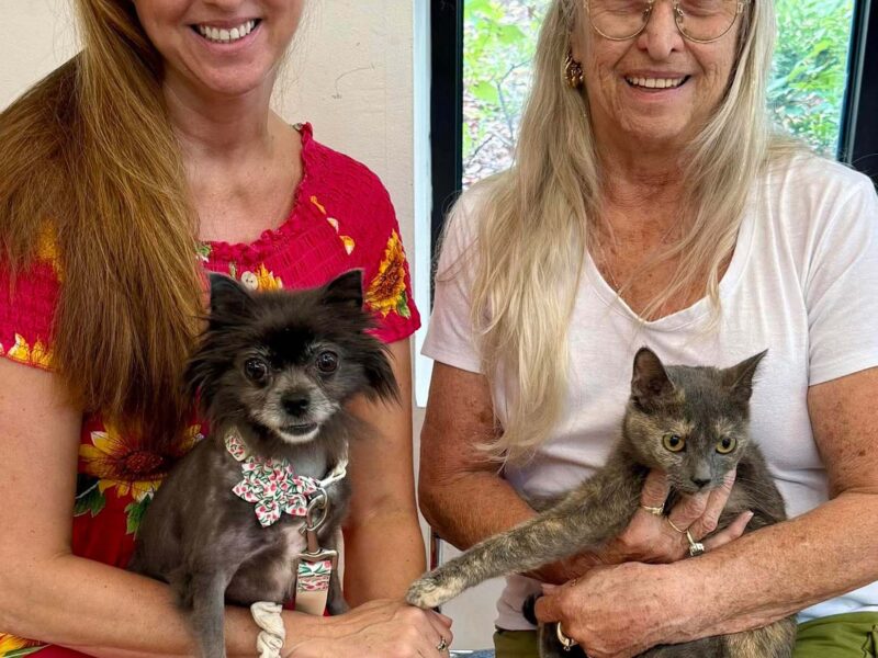 people holding cats and dogs