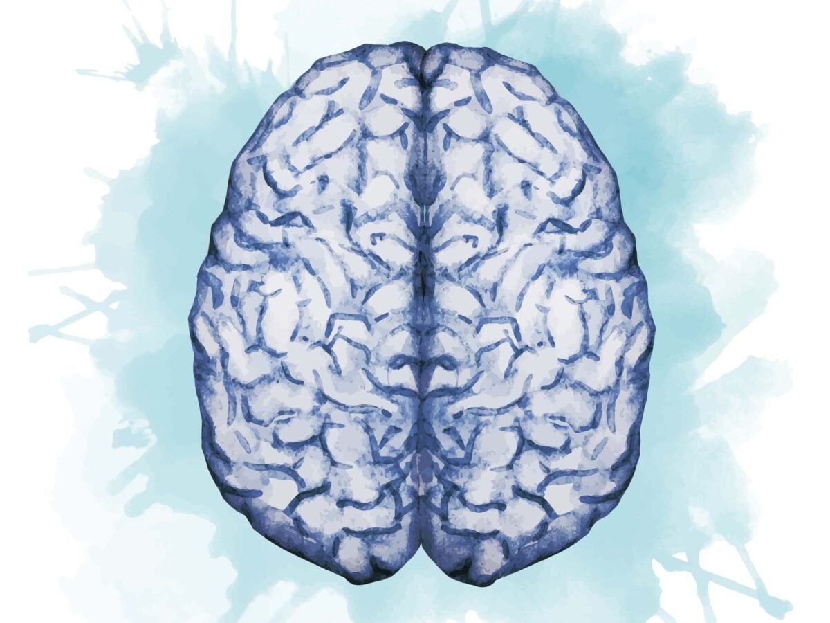 YOUR BRAIN CAN BE TRAINED, MUCH LIKE YOUR MUSCLES – A NEUROLOGIST EXPLAINS HOW TO BOOST YOUR BRAIN HEALTH