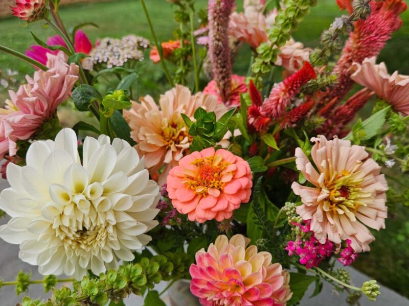 Flowers on a table