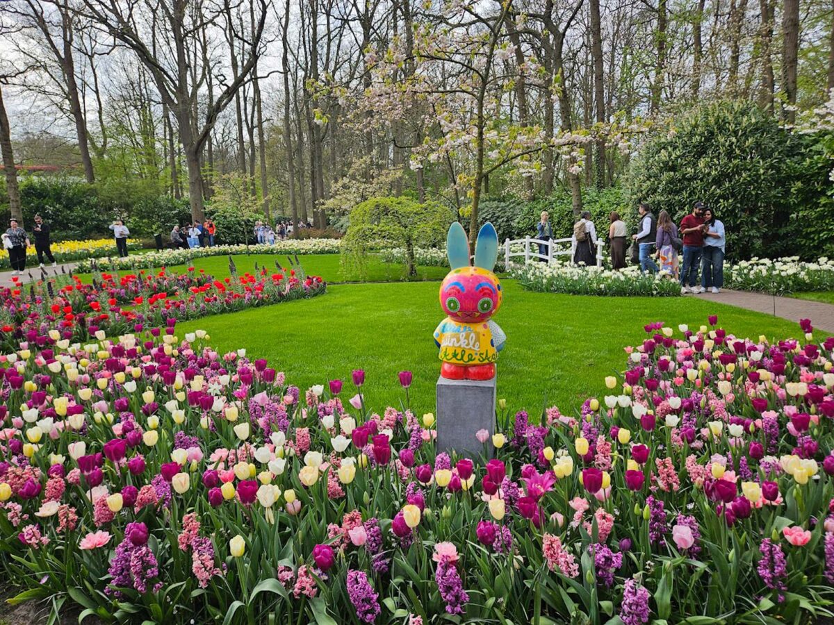 Holland in Bloom